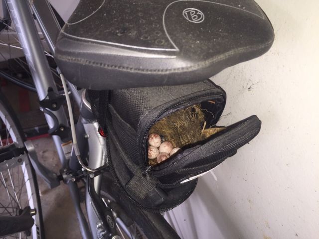 daily picdump 95 pics 3.html - 95 HD Photos | Premium Gallery 2015