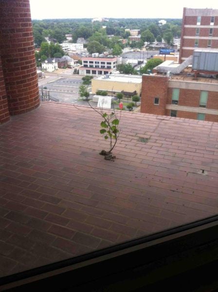 daily picdump 95 pics 3.html - 95 HD Photos | Premium Gallery 2015