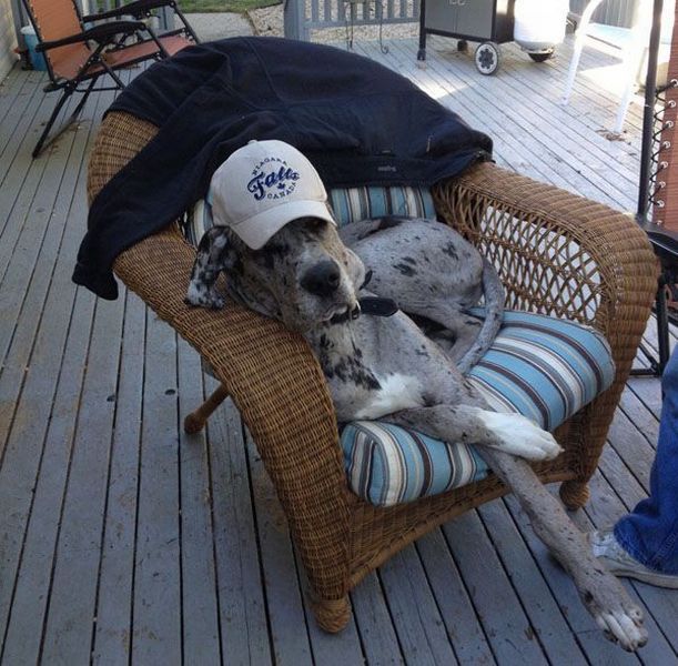 daily picdump 95 pics 3.html - 95 HD Photos | Premium Gallery 2015