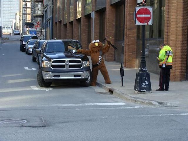 daily picdump 95 pics 3.html - 95 HD Photos | Premium Gallery 2015