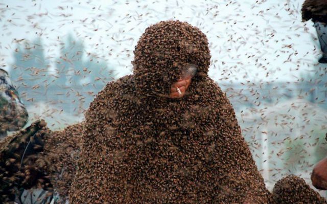 daily picdump 95 pics 3.html - 95 HD Photos | Premium Gallery 2015