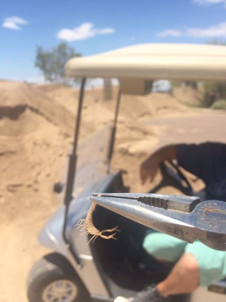 daily picdump 95 pics 3.html - 95 HD Photos | Premium Gallery 2015