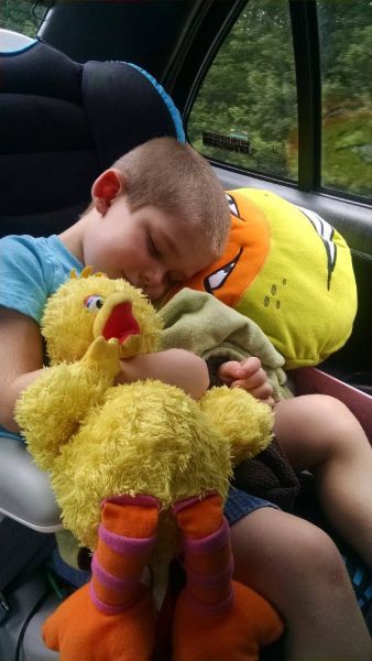 daily picdump 95 pics 3.html - 95 HD Photos | Premium Gallery 2015