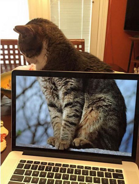 daily picdump 95 pics 3.html - 95 HD Photos | Premium Gallery 2015