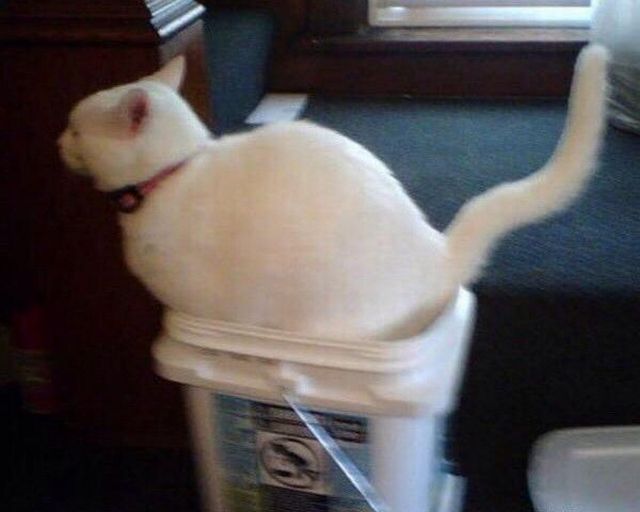 daily picdump 95 pics 3.html - 95 HD Photos | Premium Gallery 2015