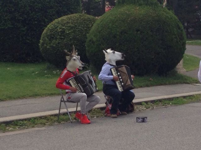 morning picdump 51 pics 3.html - 51 HD Photos | Premium Gallery 2015