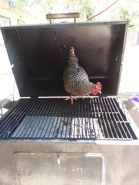 morning picdump 54 pics 17.html - 54 HD Photos | Premium Gallery 2015