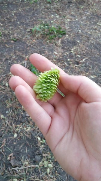 morning picdump 54 pics 17.html - 54 HD Photos | Premium Gallery 2015