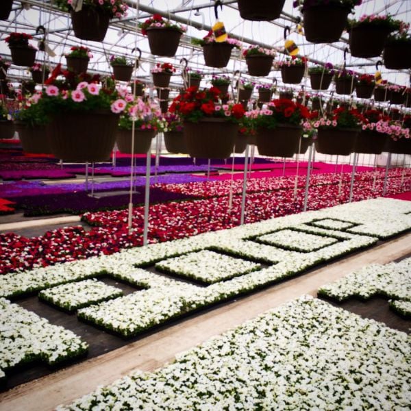 morning picdump 54 pics 17.html - 54 HD Photos | Premium Gallery 2015