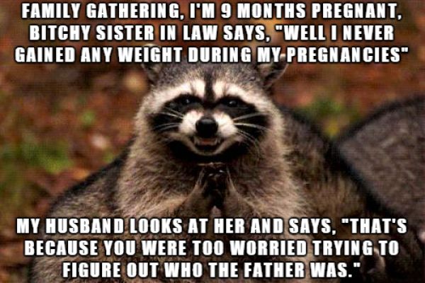 page,18,top 450 funny pics of the year 2015.html - 1 HD Photos | Premium Gallery 2015