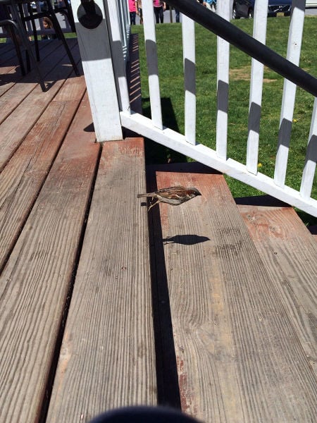 morning picdump 54 pics 2.html - 54 HD Photos | Premium Gallery 2015