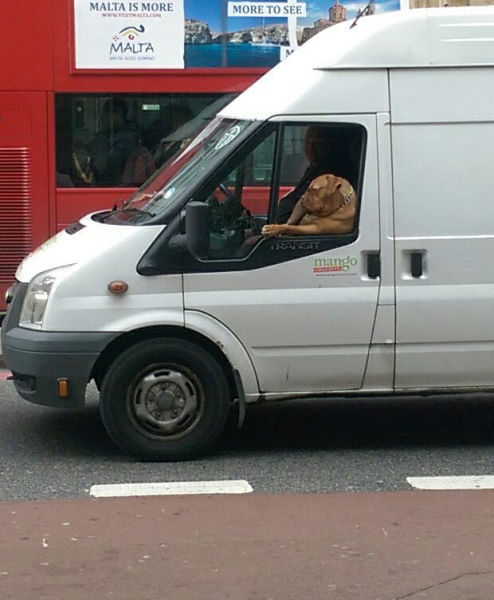 morning picdump 54 pics 2.html - 54 HD Photos | Premium Gallery 2015