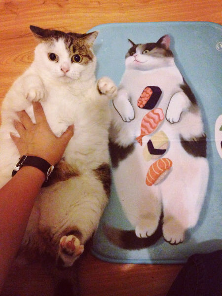 morning picdump 54 pics 2.html - 54 HD Photos | Premium Gallery 2015