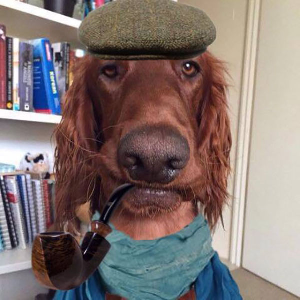 morning picdump 54 pics 2.html - 54 HD Photos | Premium Gallery 2015