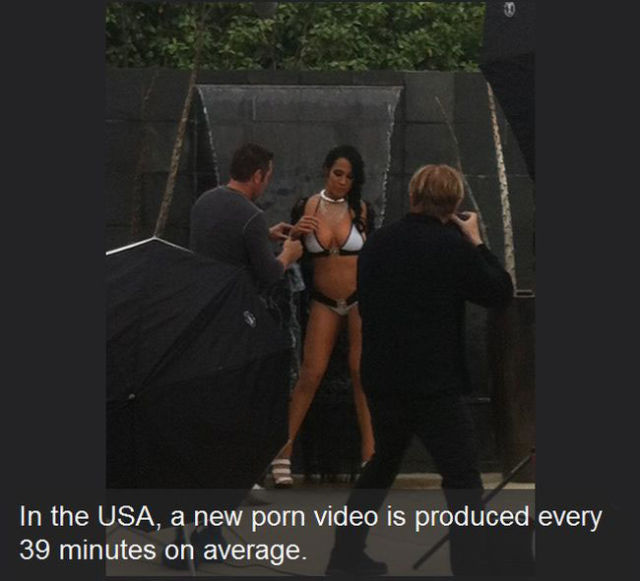 Some Facts about the Porn Industry