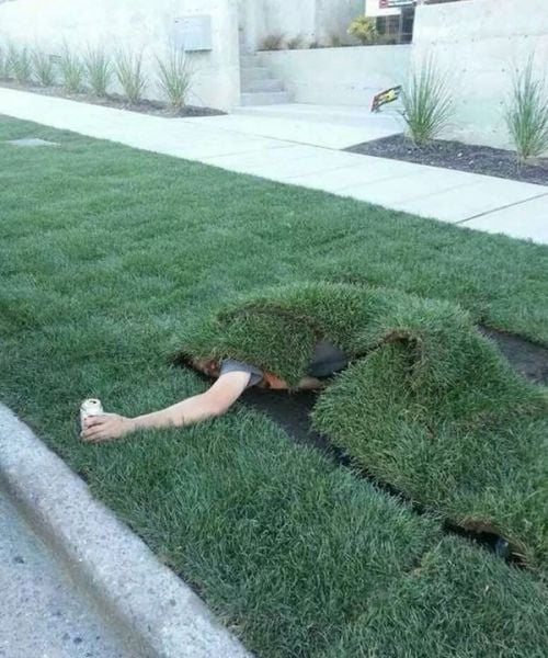 Daily Picdump [WEEKEND EDITION]