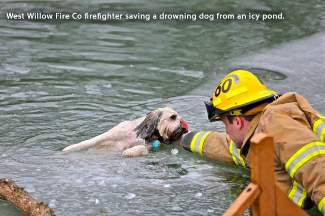 Daily Picdump [WEEKEND EDITION]