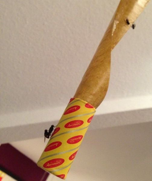 daily picdump weekend edition 81 pics 18.html - 81 HD Photos | Premium Gallery 2015