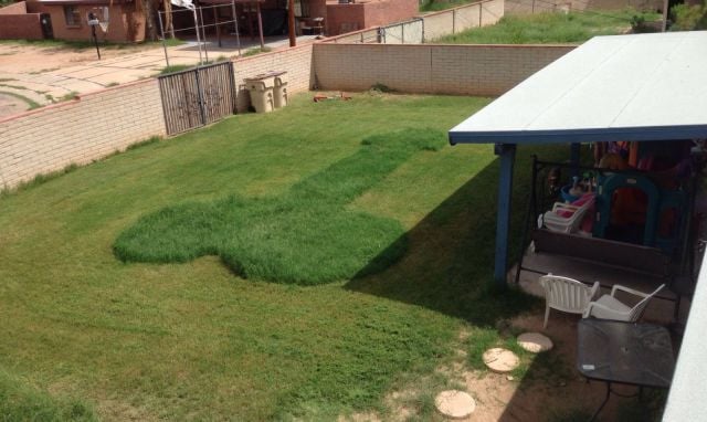 daily picdump weekend edition 81 pics 18.html - 81 HD Photos | Premium Gallery 2015