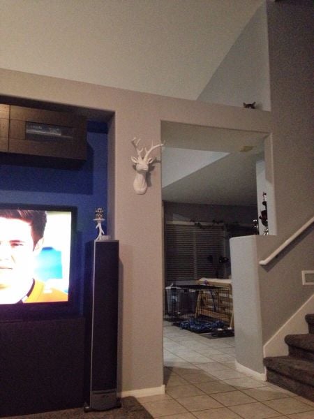 daily picdump weekend edition 81 pics 18.html - 81 HD Photos | Premium Gallery 2015