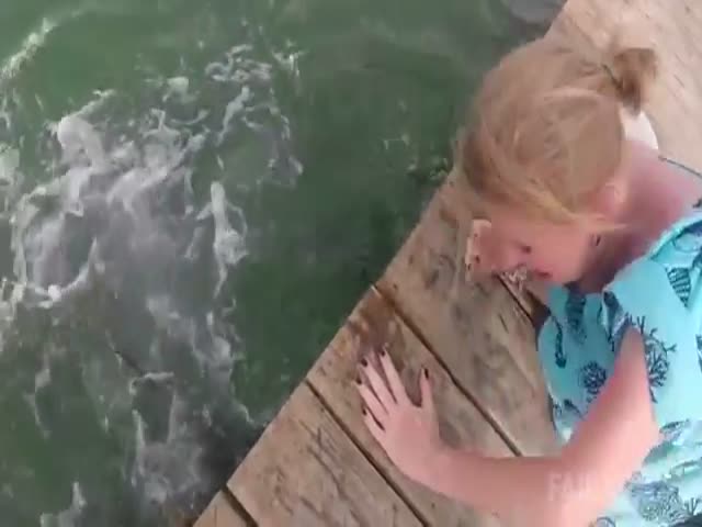 page,6,top 500 videos of the year 2015.html - 1 HD Video | Premium Gallery 2015