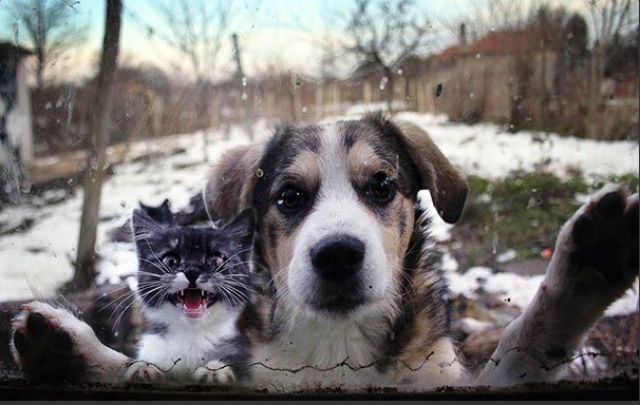 morning picdump 57 pics 17.html - 57 HD Photos | Premium Gallery 2015