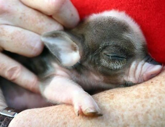 morning picdump 57 pics 17.html - 57 HD Photos | Premium Gallery 2015