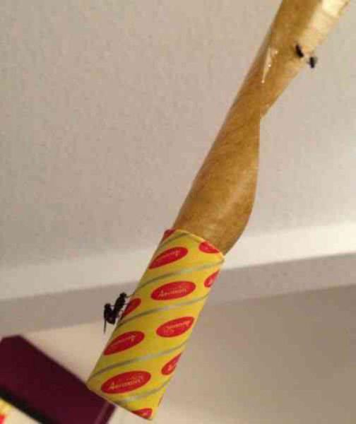 Pictures for Those With Dirty Minds