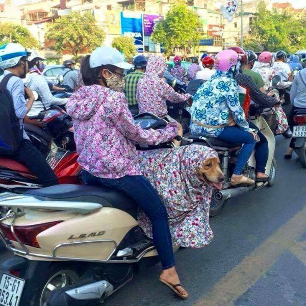 morning picdump 52 pics 8.html - 52 HD Photos | Premium Gallery 2015