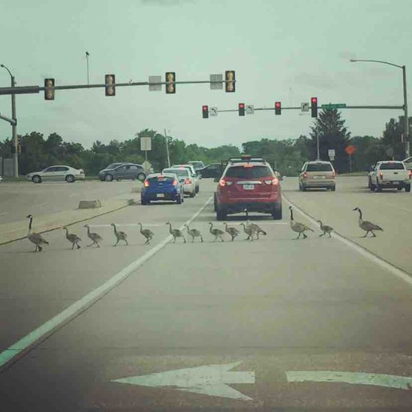 morning picdump 52 pics 8.html - 52 HD Photos | Premium Gallery 2015