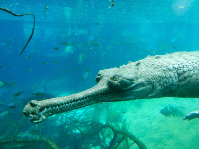 morning picdump 52 pics 8.html - 52 HD Photos | Premium Gallery 2015