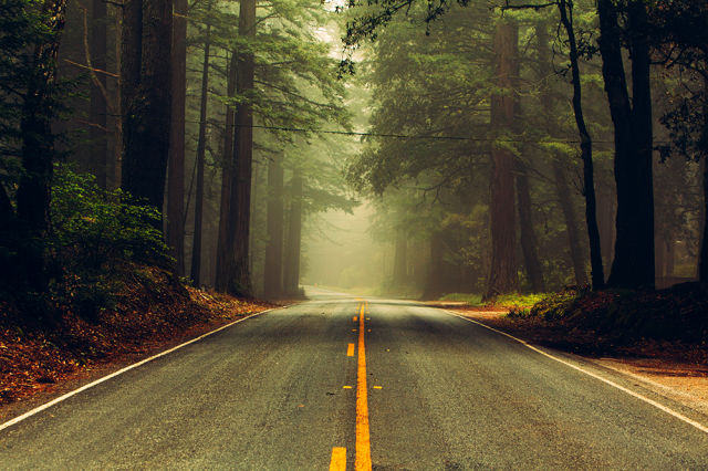 morning picdump 50 pics 20.html - 50 HD Photos | Premium Gallery 2015