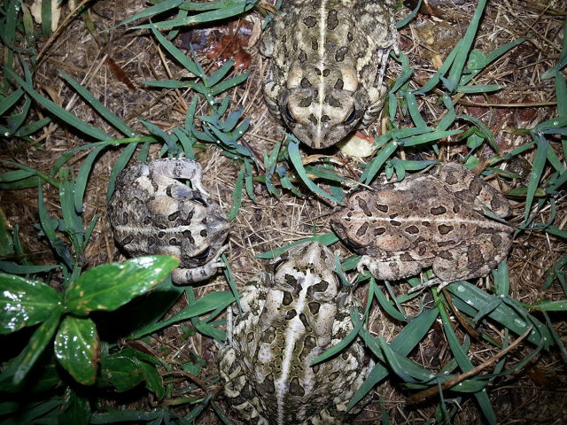 morning picdump 50 pics 20.html - 50 HD Photos | Premium Gallery 2015