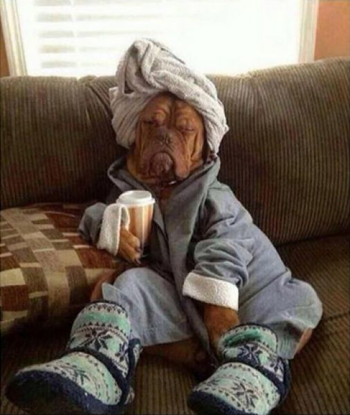 morning picdump 51 pics 4.html - 51 HD Photos | Premium Gallery 2015