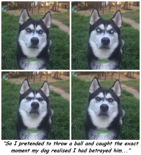 page,37,top 1500 daily pics of the year 2015.html - 1 HD Photos | Premium Gallery 2015