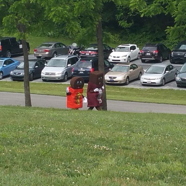 morning picdump 51 pics 20.html - 51 HD Photos | Premium Gallery 2015