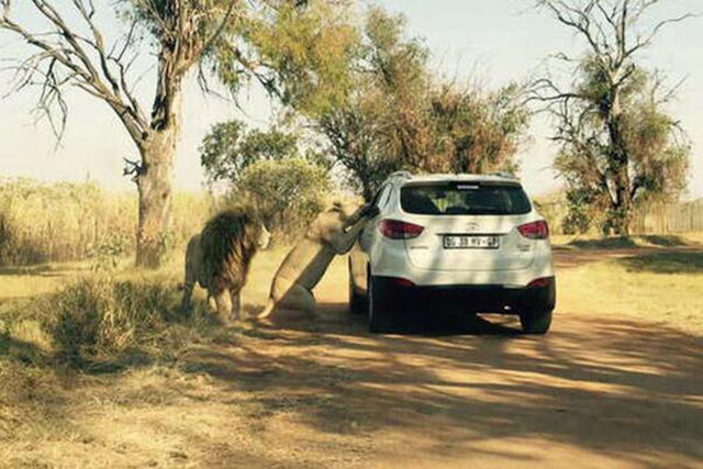 morning picdump 51 pics 20.html - 51 HD Photos | Premium Gallery 2015