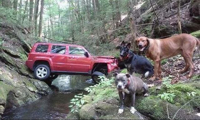 daily picdump 101 pics 101.html - 101 HD Photos | Premium Gallery 2015