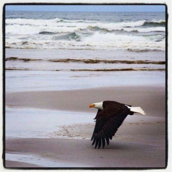 daily picdump 101 pics 101.html - 101 HD Photos | Premium Gallery 2015