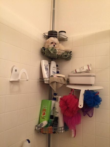 daily picdump 101 pics 101.html - 101 HD Photos | Premium Gallery 2015