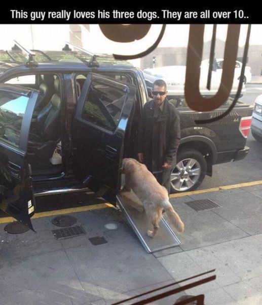 daily picdump 101 pics 101.html - 101 HD Photos | Premium Gallery 2015