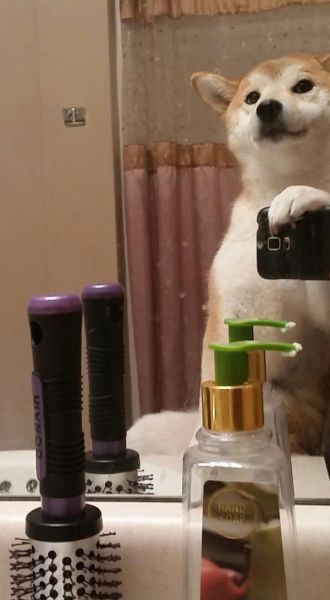 daily picdump 101 pics 101.html - 101 HD Photos | Premium Gallery 2015