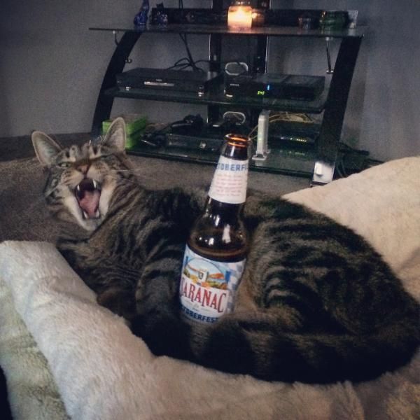 daily picdump 101 pics 101.html - 101 HD Photos | Premium Gallery 2015