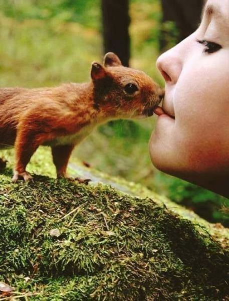 daily picdump 101 pics 101.html - 101 HD Photos | Premium Gallery 2015