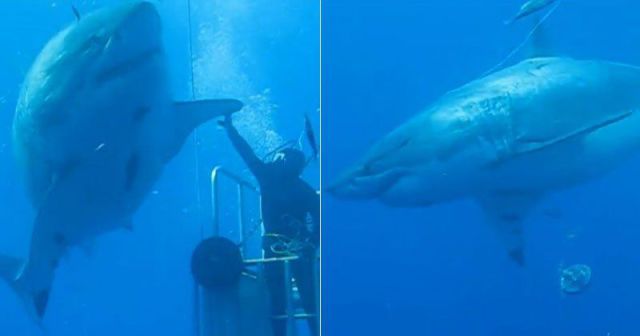 daily picdump 101 pics 101.html - 101 HD Photos | Premium Gallery 2015