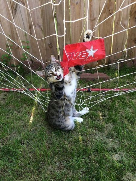 daily picdump 101 pics 101.html - 101 HD Photos | Premium Gallery 2015