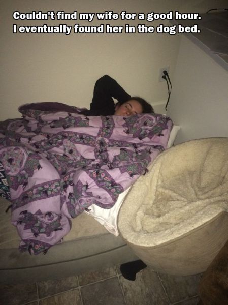 daily picdump 101 pics 101.html - 101 HD Photos | Premium Gallery 2015