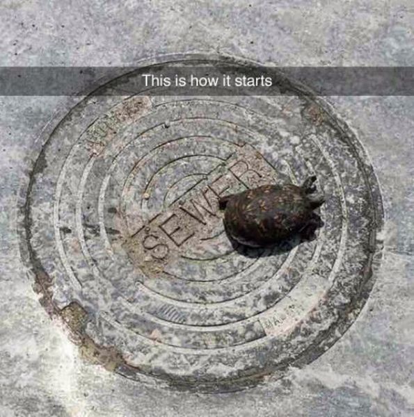 daily picdump 101 pics 101.html - 101 HD Photos | Premium Gallery 2015