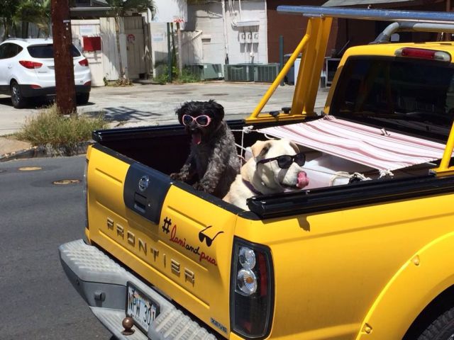 daily picdump 101 pics 101.html - 101 HD Photos | Premium Gallery 2015