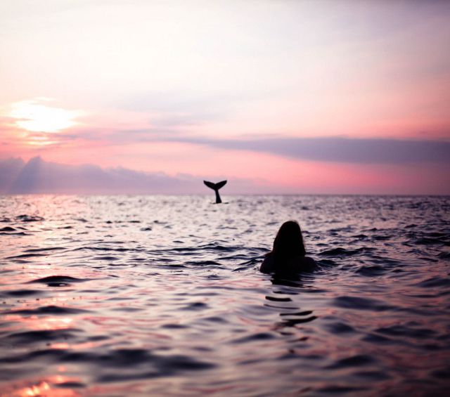 daily picdump 101 pics 101.html - 101 HD Photos | Premium Gallery 2015